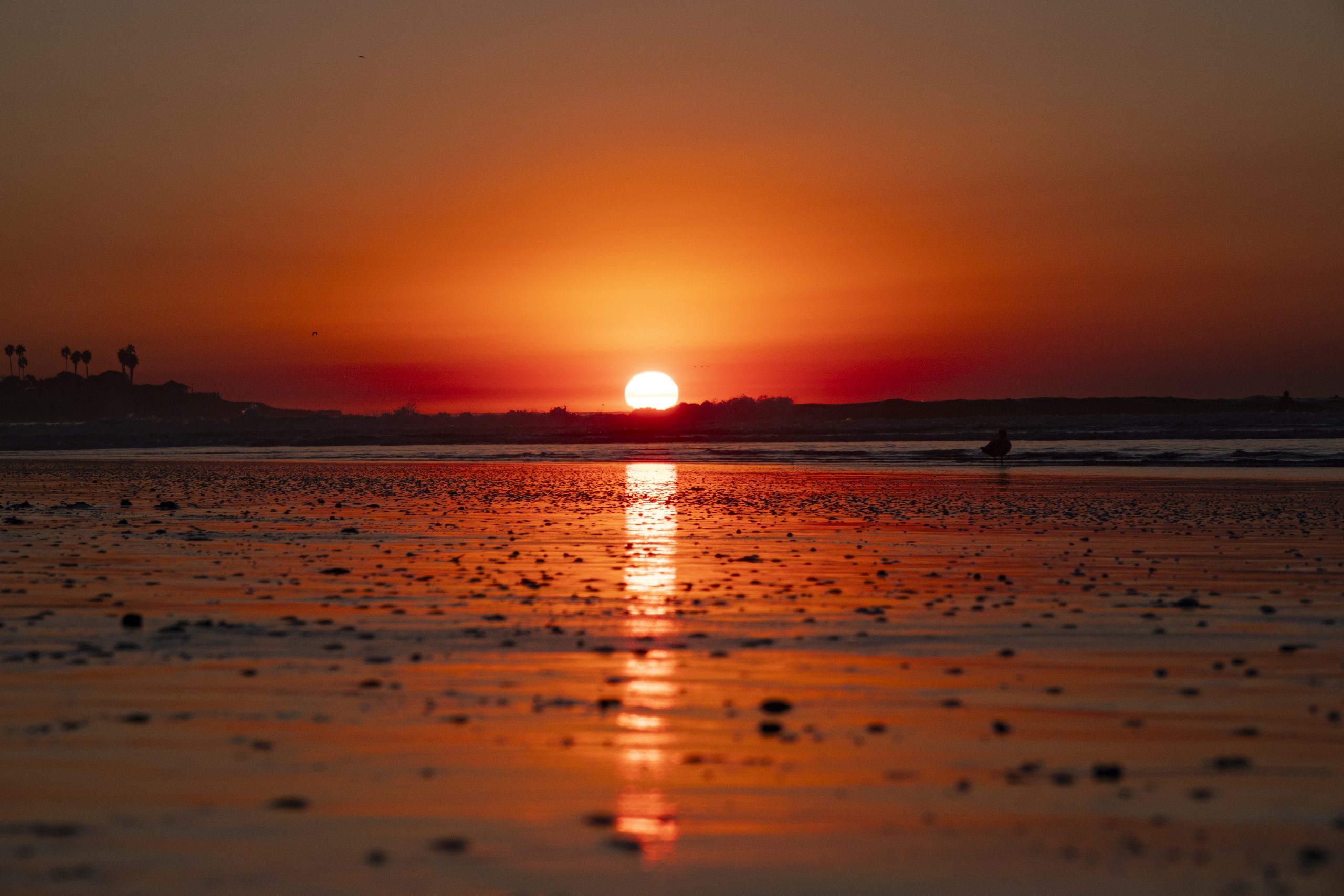 The sun is reflected on the sand on a warm, winter day at La Jolla Shores beach as smoke from the Los Angeles fires settles on the Pacific Ocean at sunset.