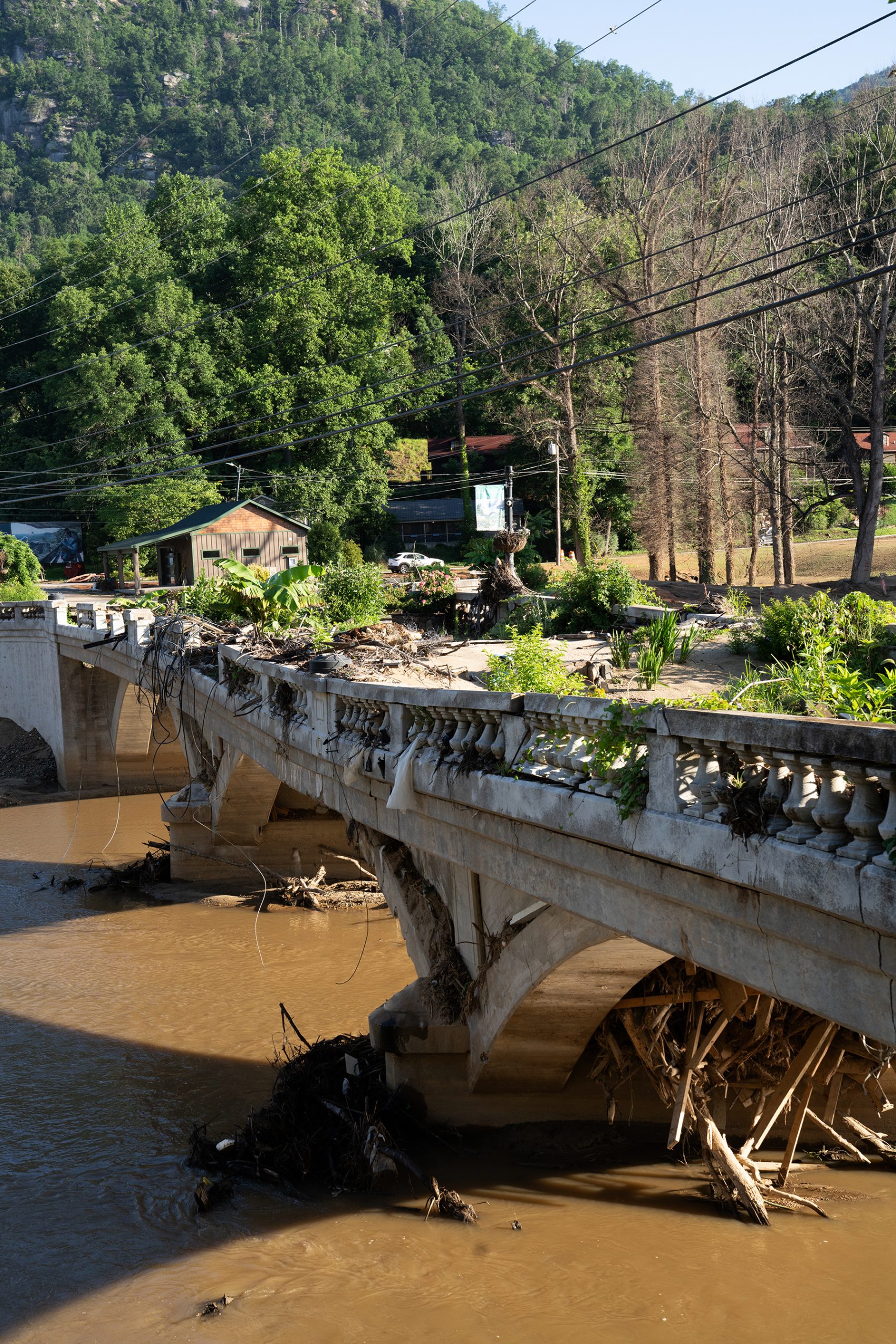 A bridge with severe structural damage is covered in debris and greenery.