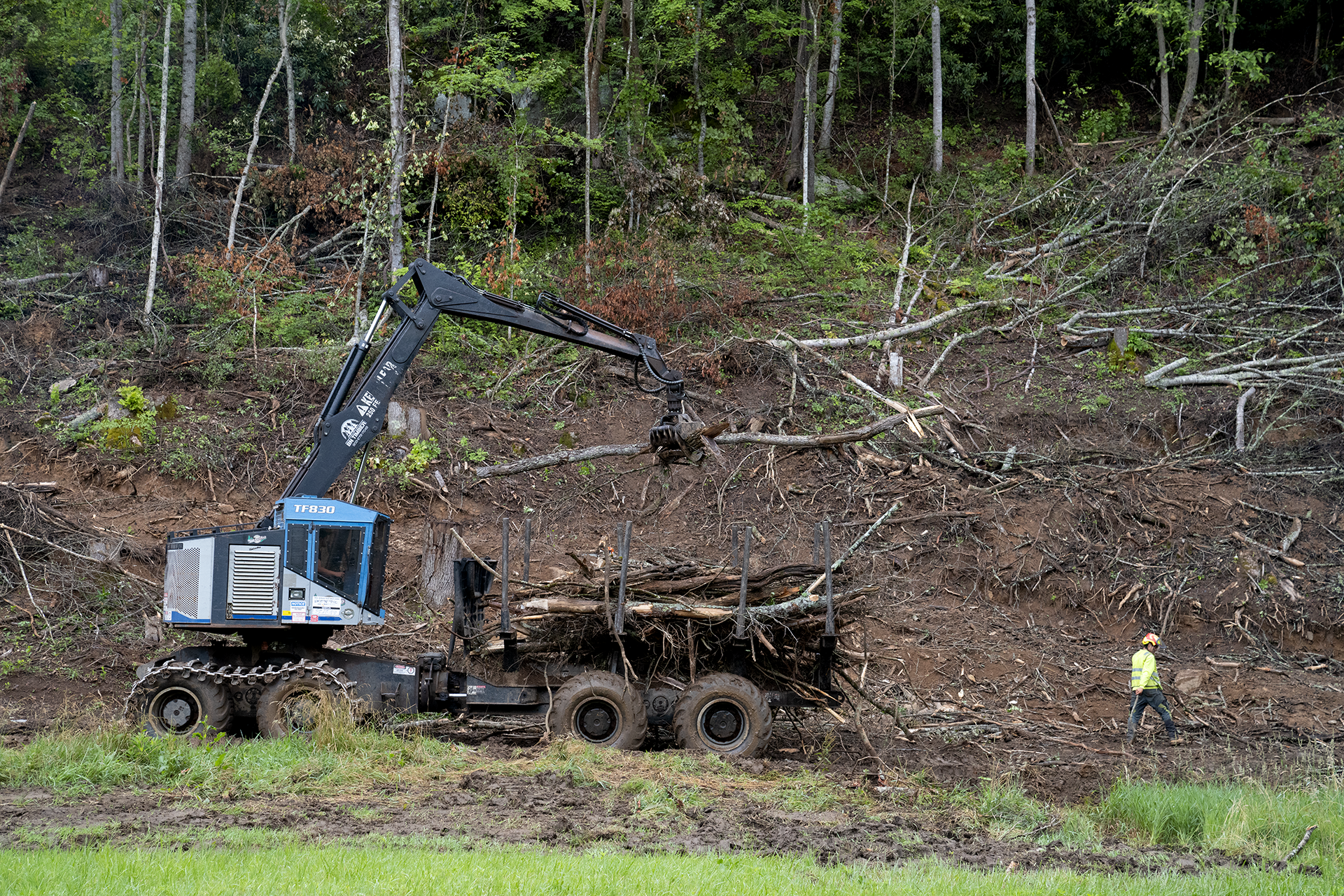 A worker and an excavator at the edge of the woods