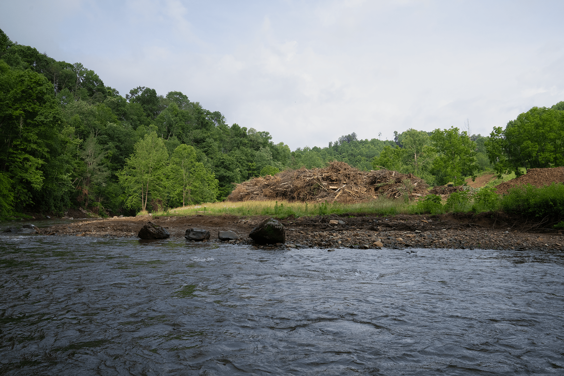 A pile of trees and debris sit on a river bank
