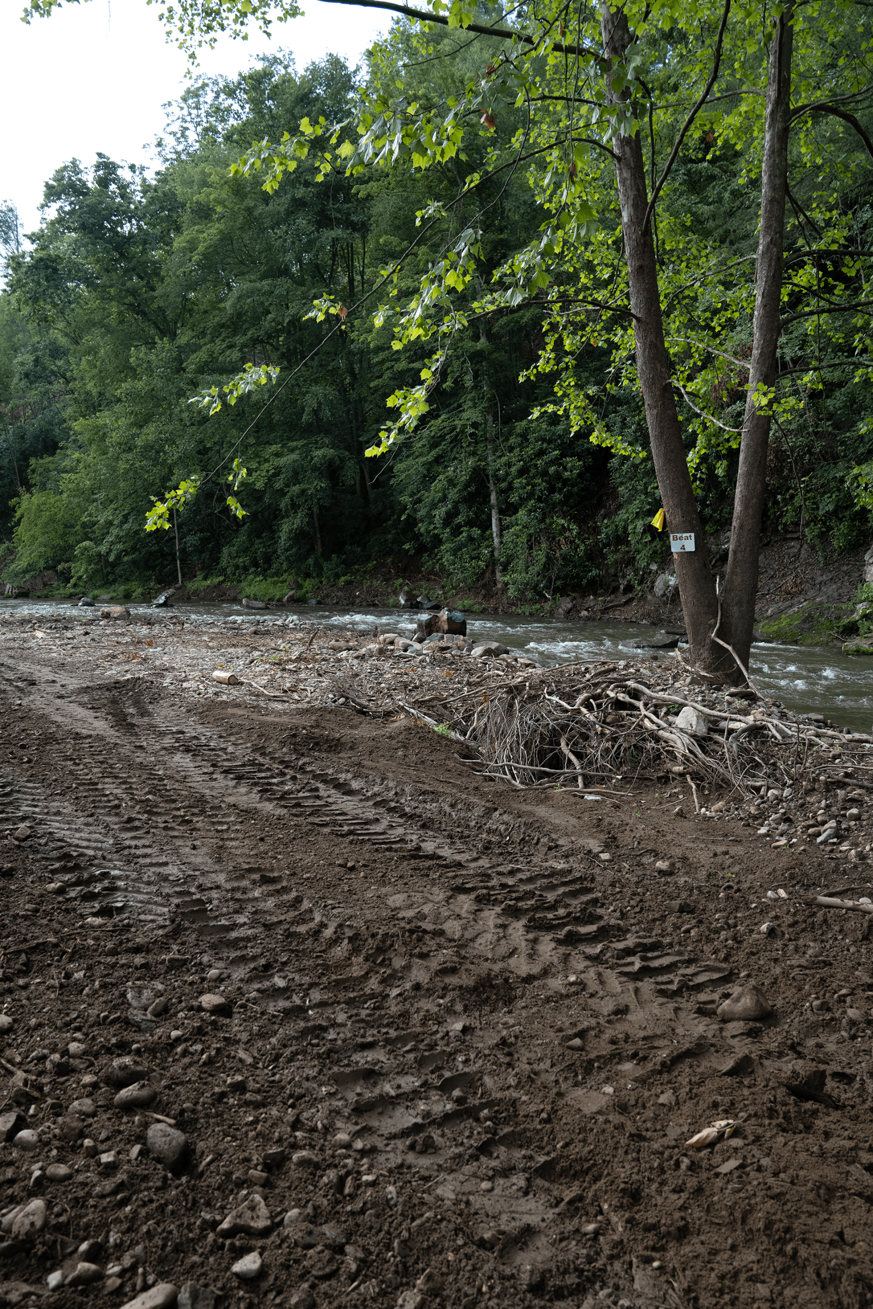 Tire tracks seen in mud near a river and woods