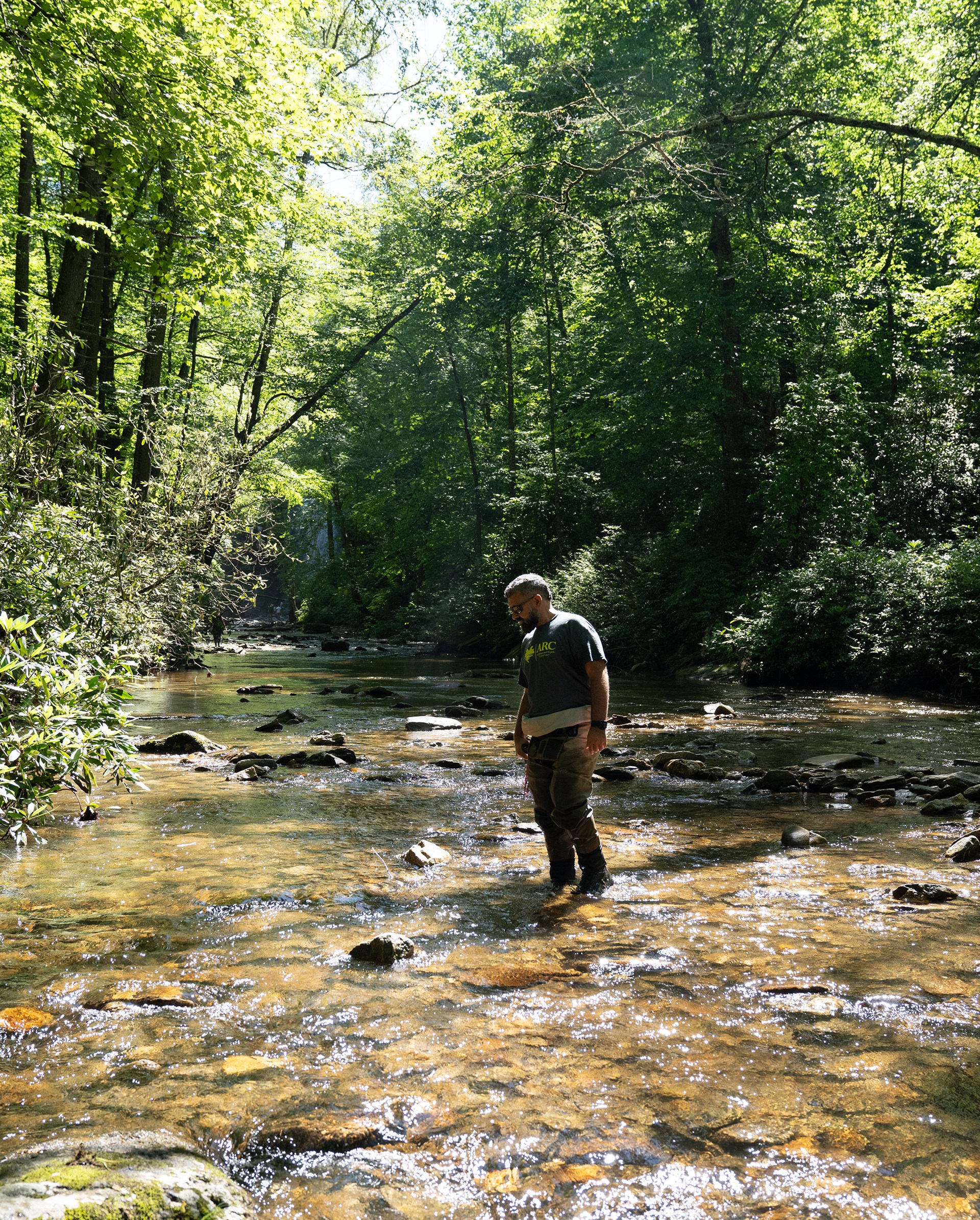 A man stands looking downward in a rocky stream surrounded by forest.