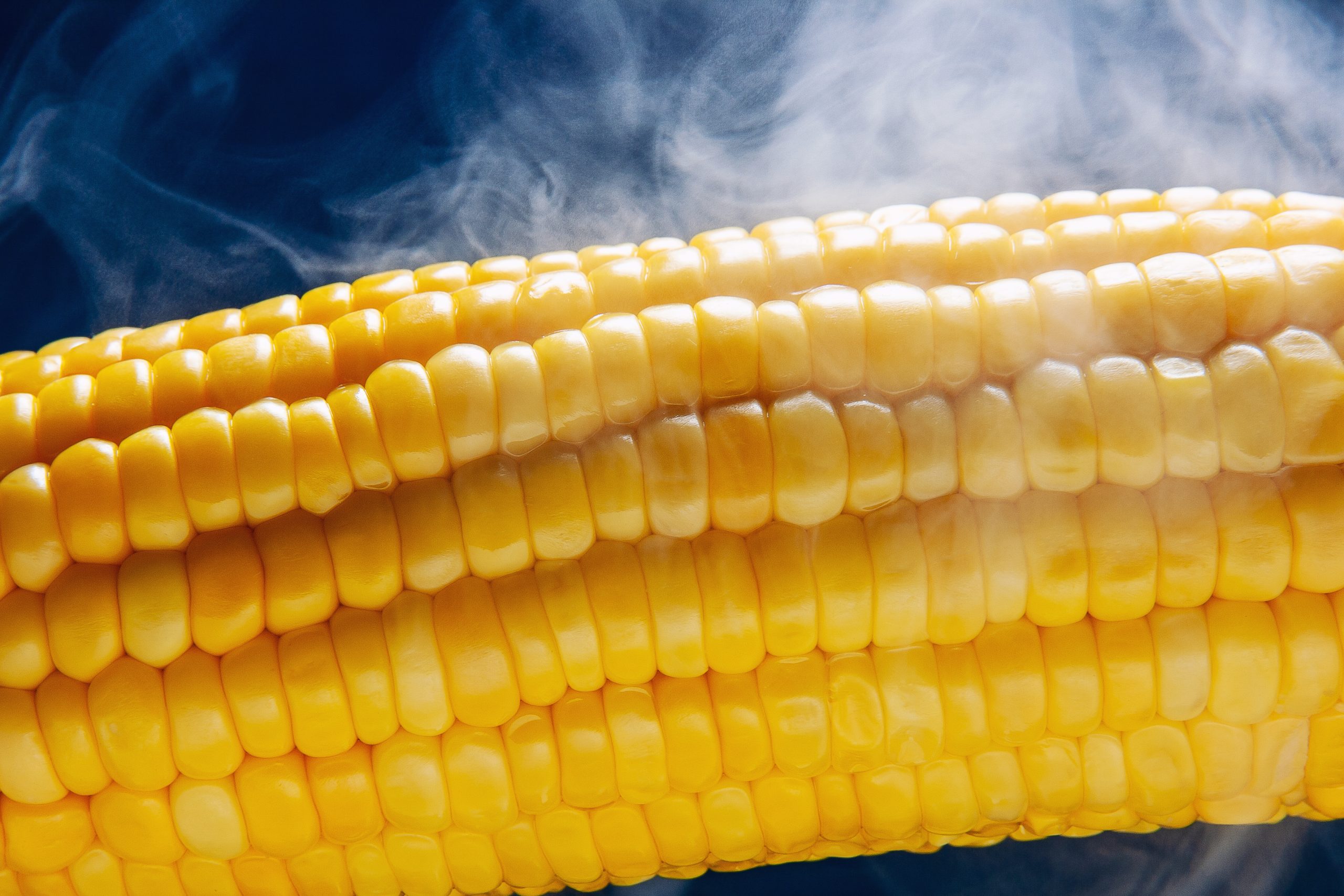 A close-up picture of a steaming corn cob. 