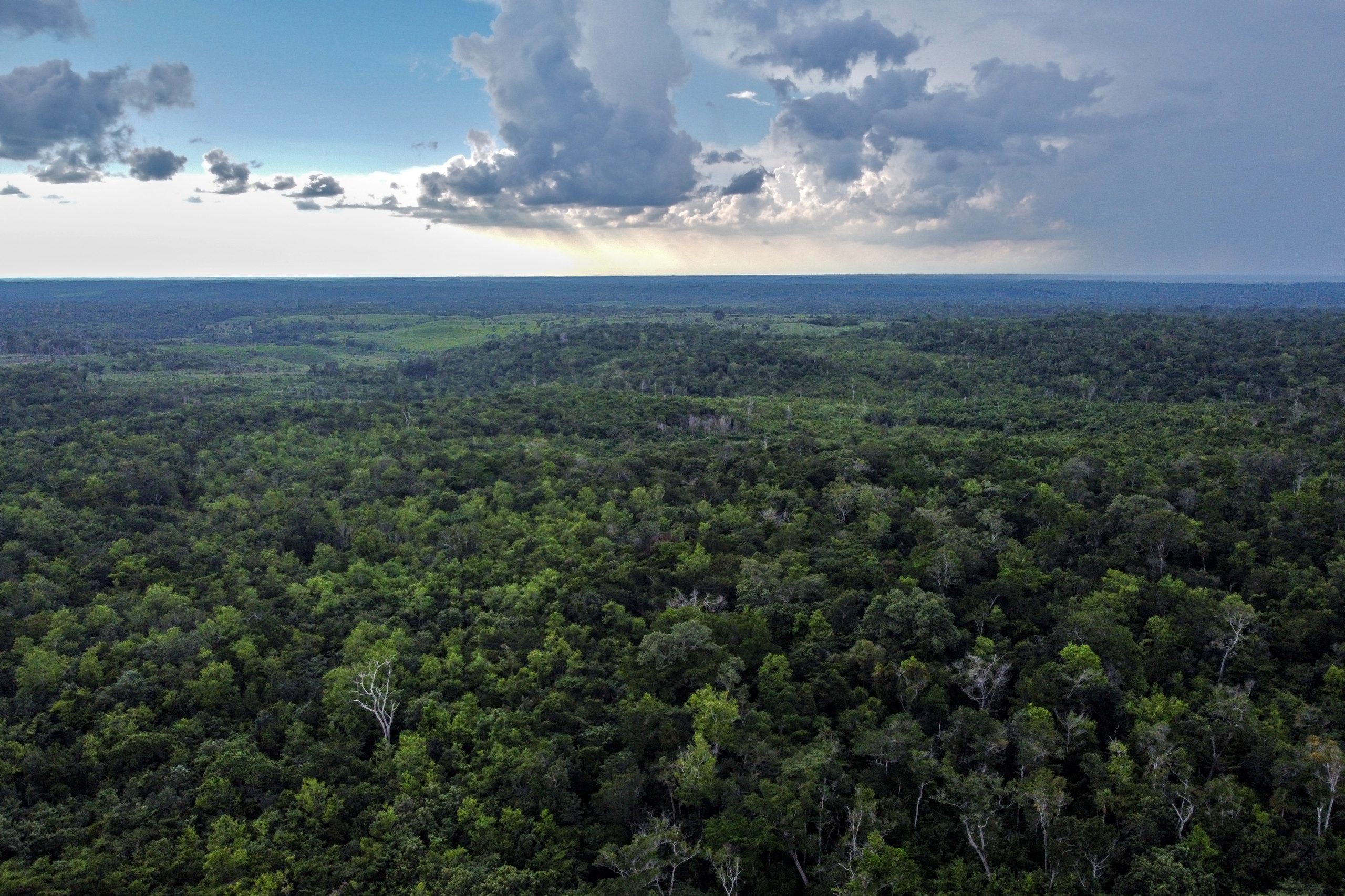 An aerial view of the Maya Biosphere Reserve in Peten Department, Guatemala.