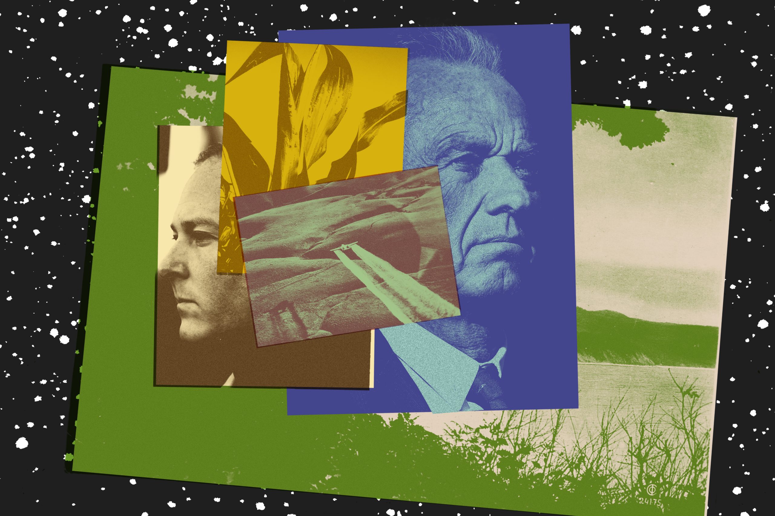 A photo collage of Robert F. Kennedy Jr. and Lee Zeldin facing opposite directions among images of a plane dropping pesticides in a field, a leafy plant, and a view of a lake.