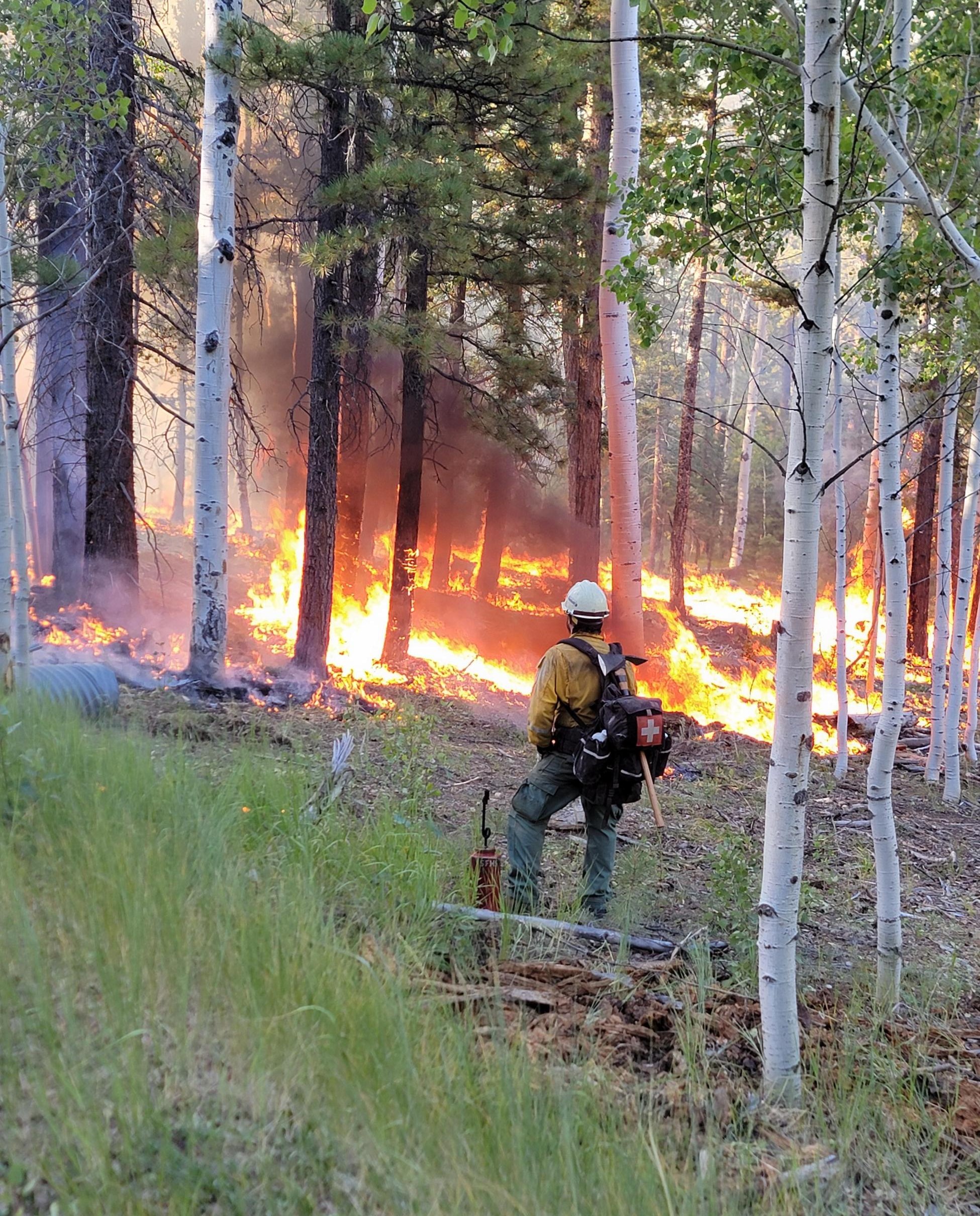 A fireline medic on the edge of the Dragon Bravo wildfire.