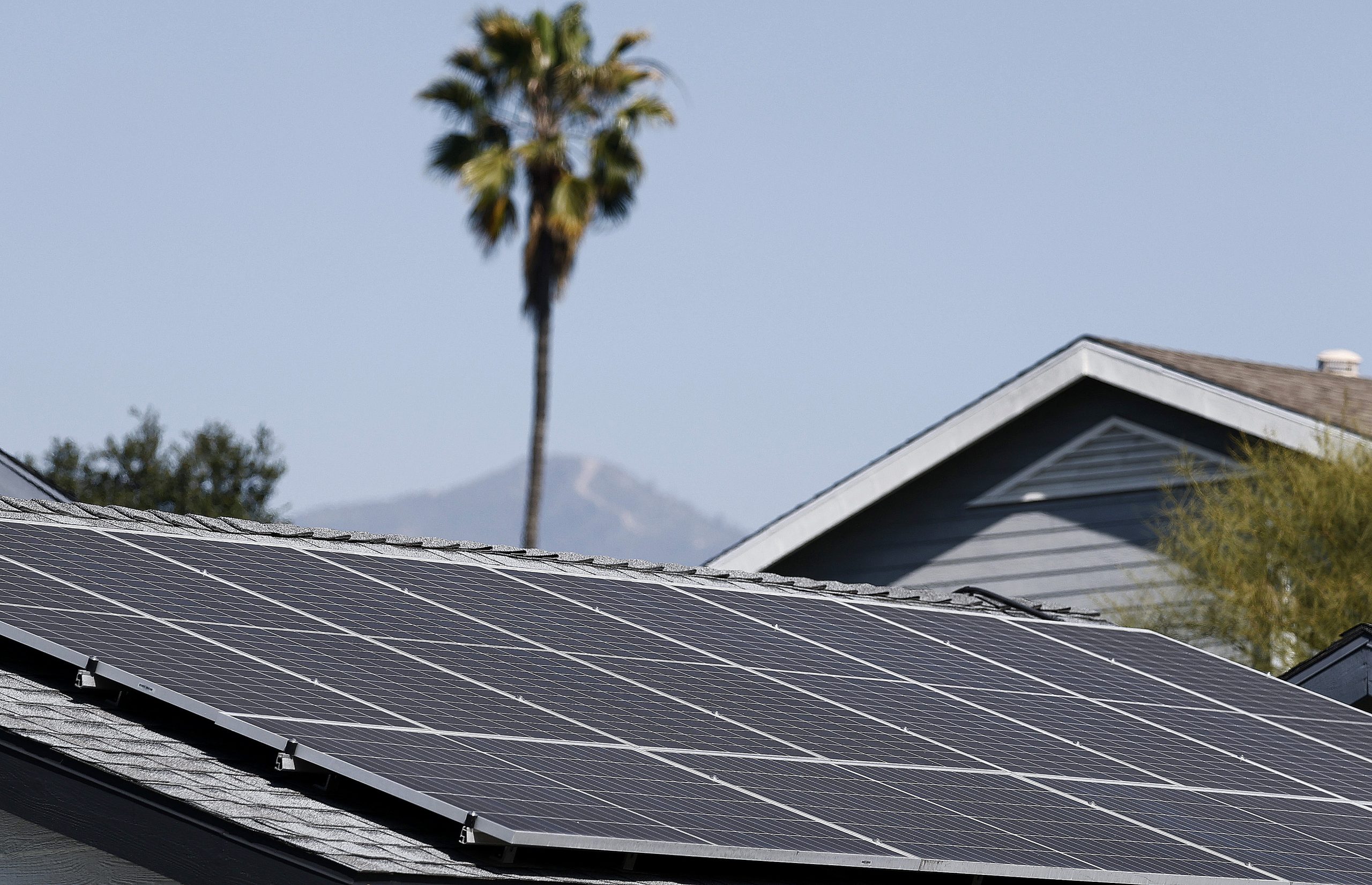 Black reflective solar panels cover a low roof, with a blue sky and palm trees in the background.