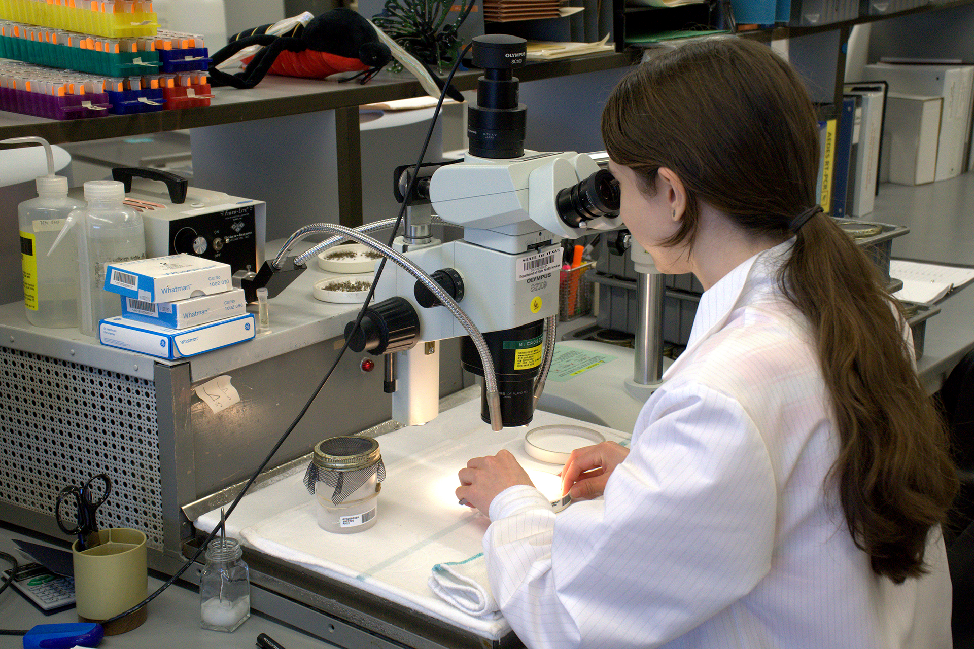 A woman in a lab coat looks into a lab-grade microscope. A woman in a lab coat looks into a lab-grade microscope.