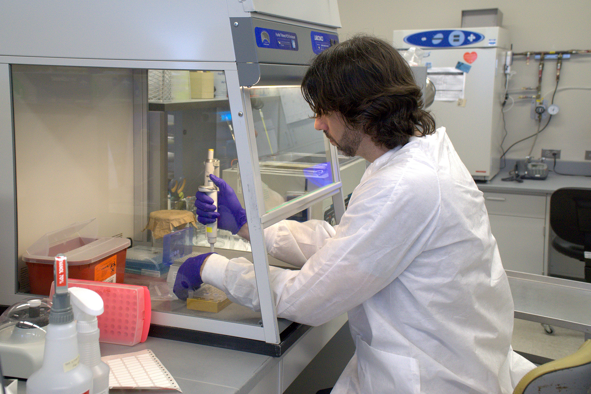 A man in a white lab coat and purple gloves performs a procedure with a pipette. A man in a white lab coat and purple gloves performs a procedure with a pipette.