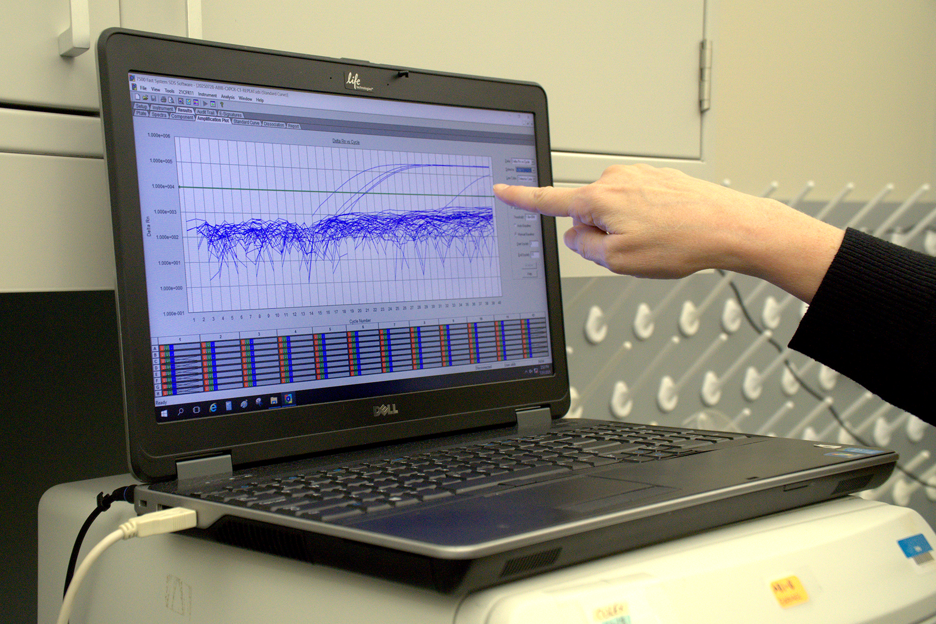 An open computer with a chart showing the results of a PCR test in blue. An open computer with a chart showing the results of a PCR test in blue.