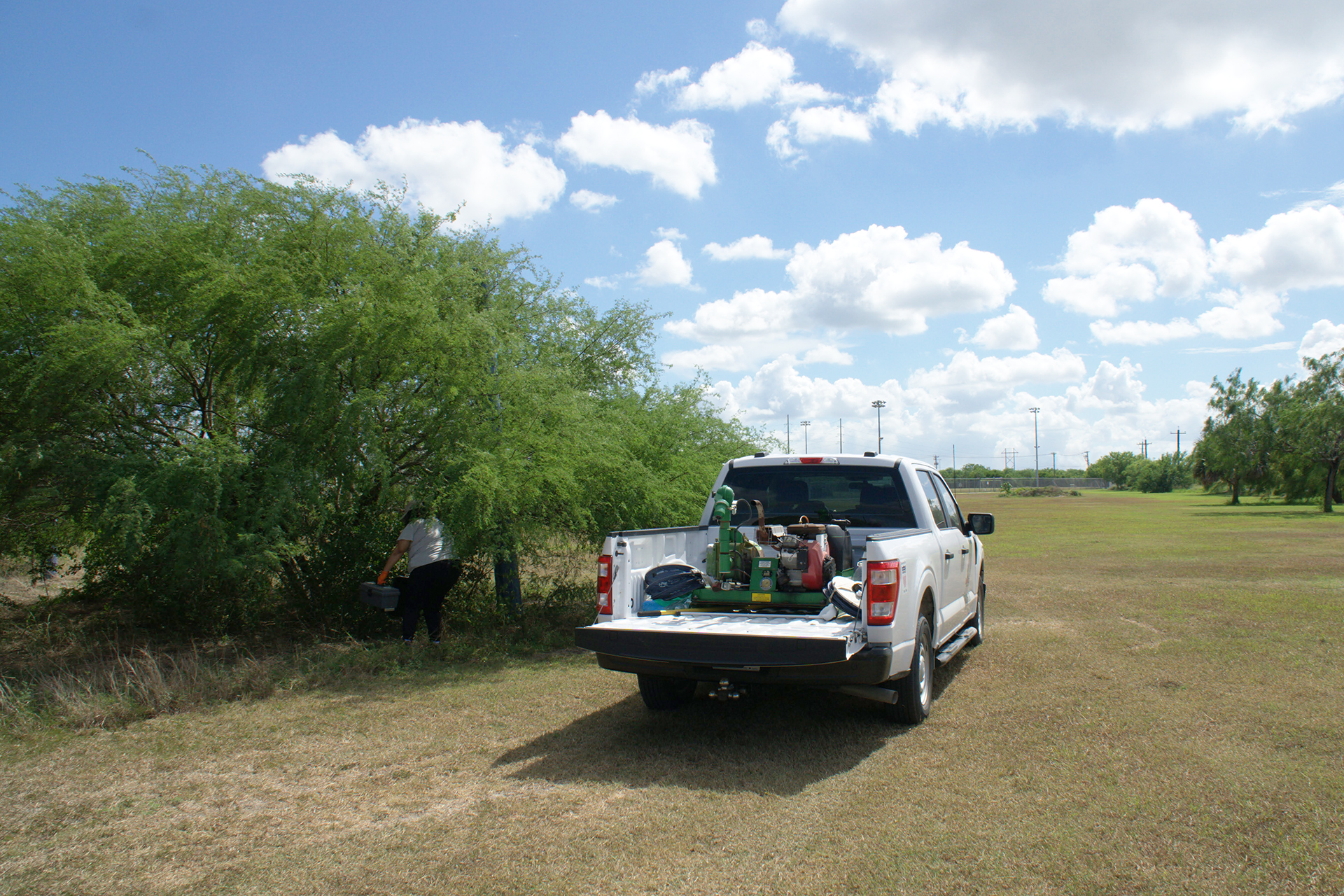 A woman collecting a gravid trap near trees and grass