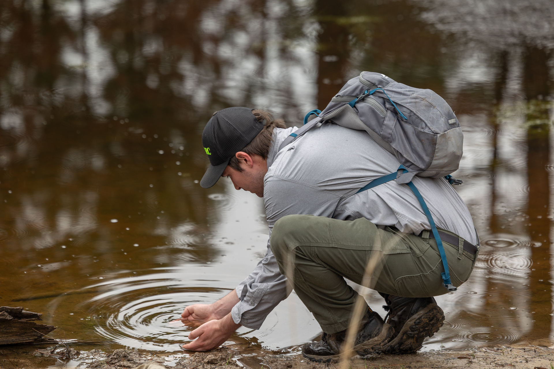 A man crouches down at the end of a pond, identifying tadpoles with his hands in the water A man crouches down at the end of a pond, identifying tadpoles with his hands in the water