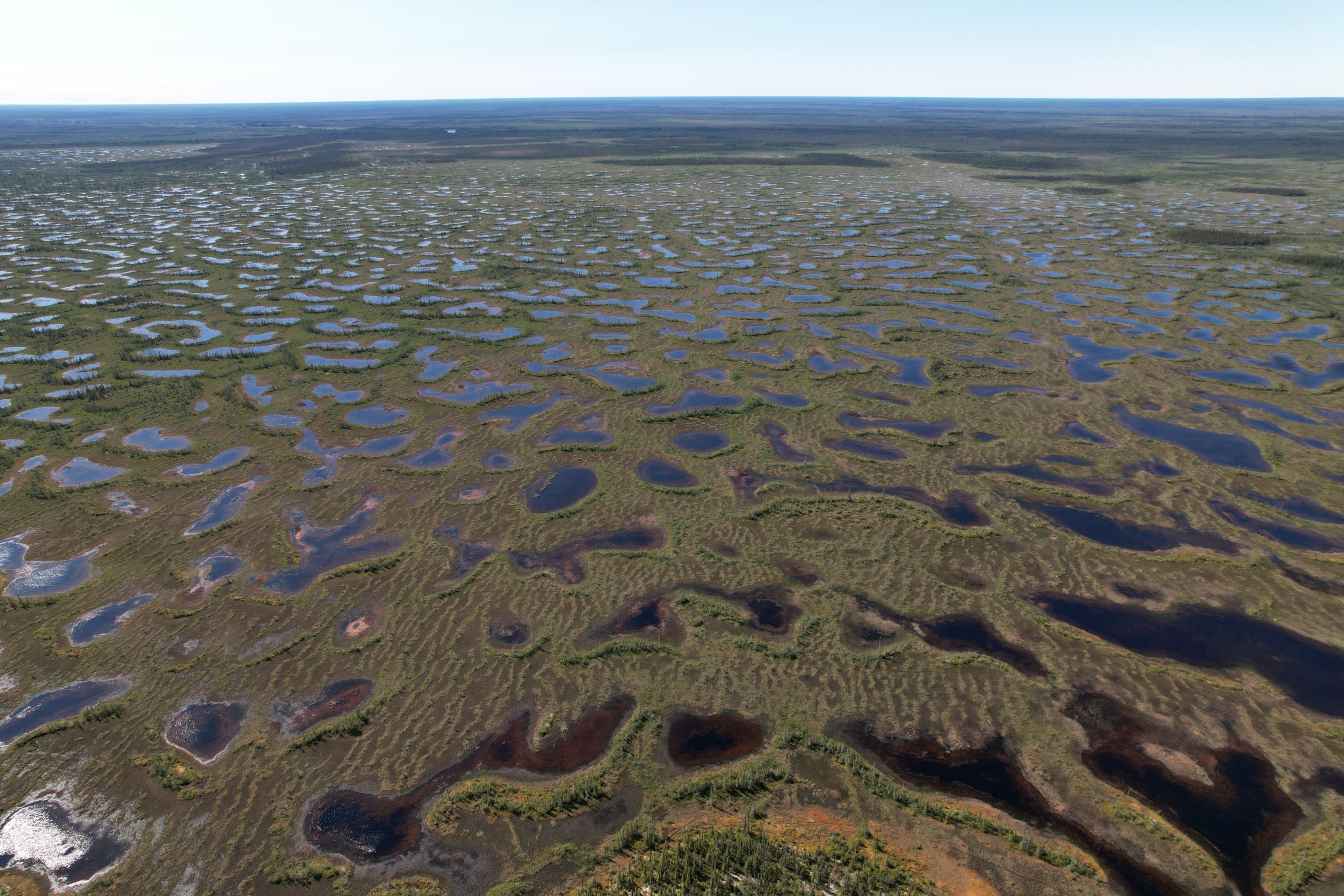 An aerial photo of a wetland landscape with pockets of water amid green moss