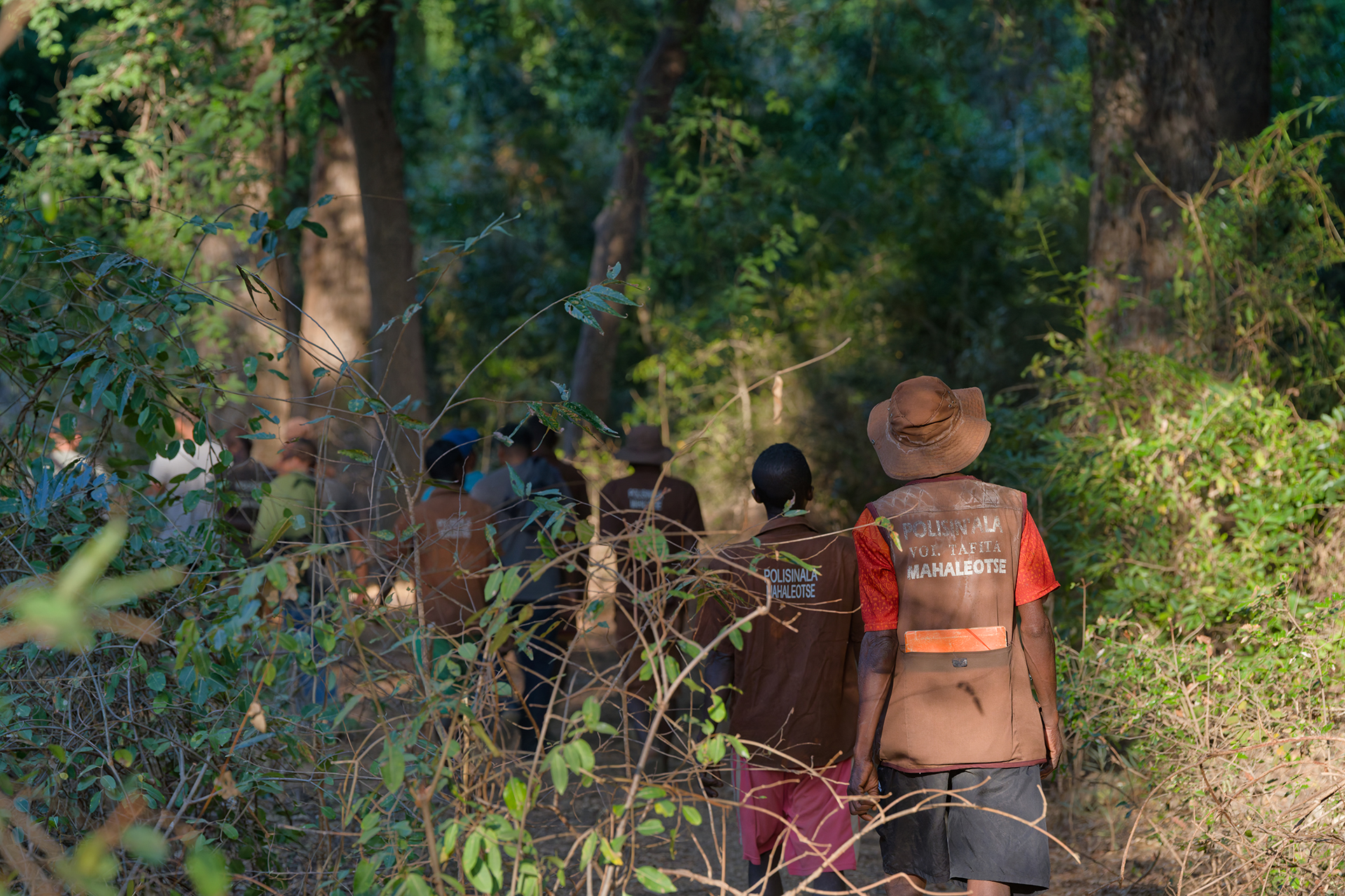 A group of men walk through the forest